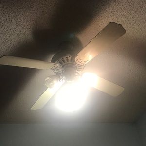 Meet your Posher, Jaime